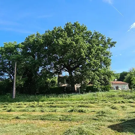 Mas Crudel - Maison De Caractere Holiday home