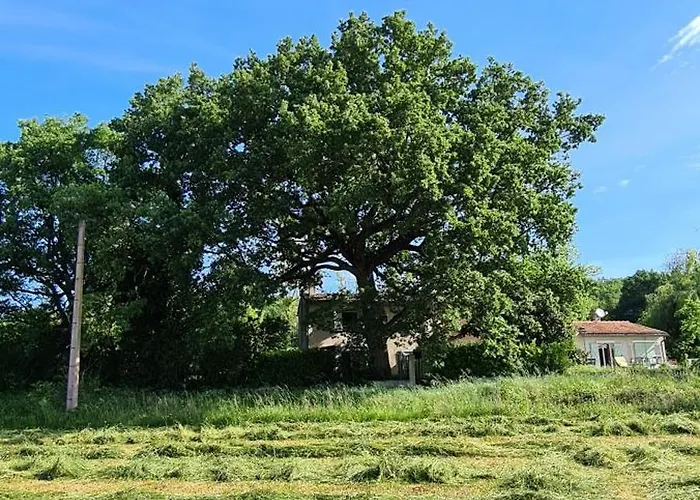 Mas Crudel - Maison De Caractere Σπίτι διακοπών