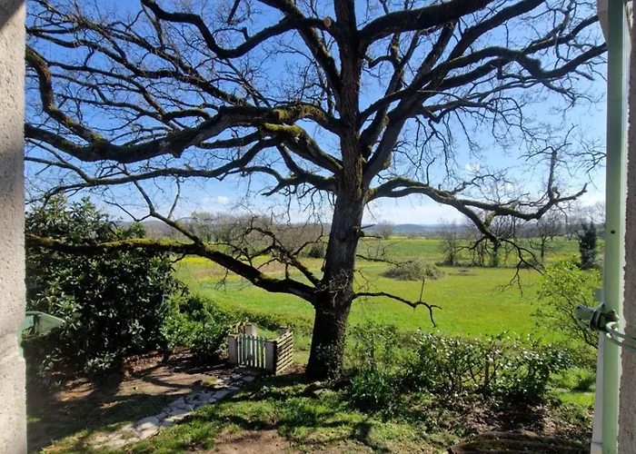 Mas Crudel - Maison De Caractere Σπίτι διακοπών Parisot (Tarn)